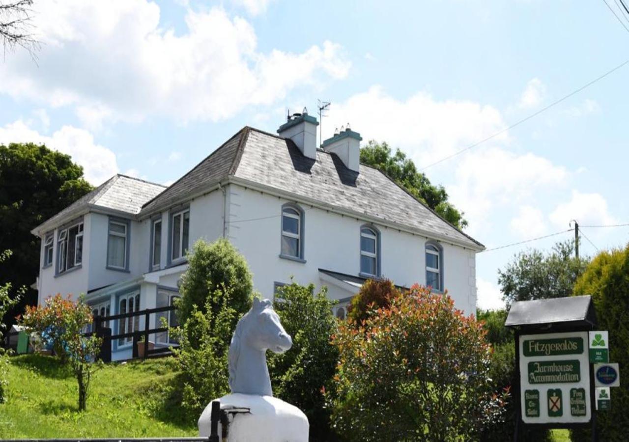 Fitzgerald'S Farmhouse Accommodation V94 Yy47 Abbeyfeale Exterior photo